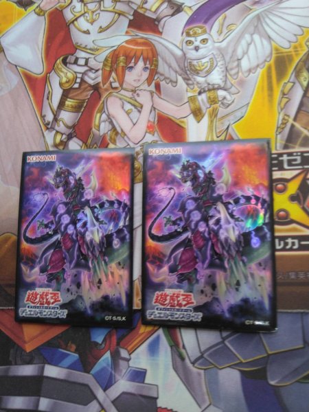 画像4: 販売予定【中古スリーブ付き】 (4)