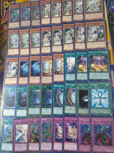 画像3: 販売予定 (3)