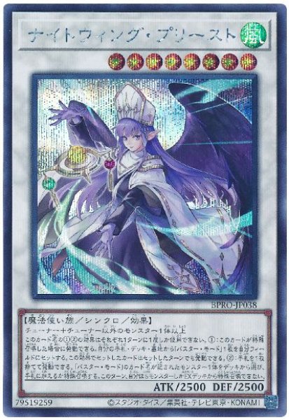 画像1: ナイトウィング・プリースト【シク】 (1)