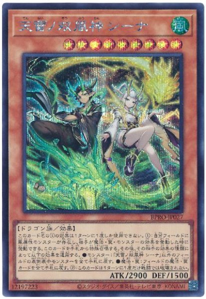 画像1: 天雷ノ双風神 シーナ【シク】 (1)