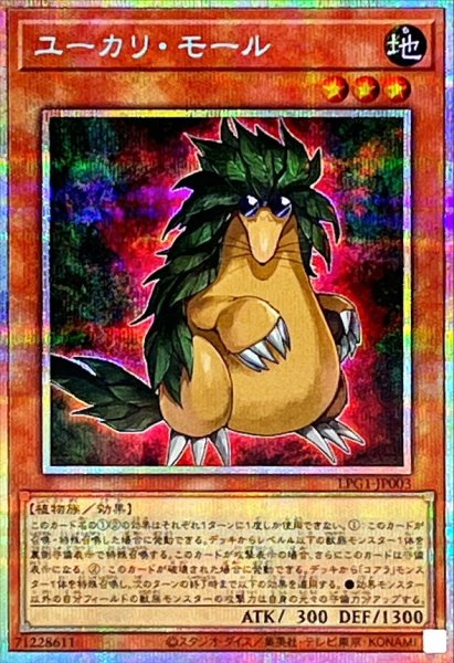 画像1: ユーカリ・モール【プリシク】 (1)