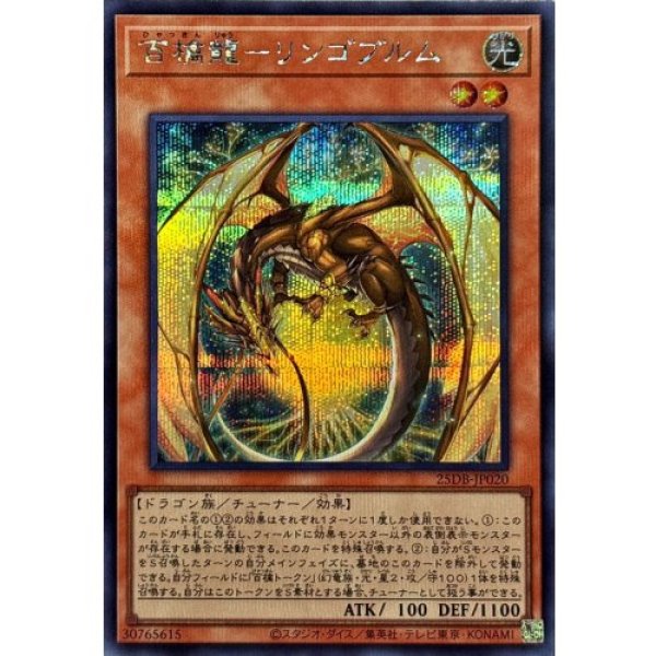 画像1: 百檎龍－リンゴブルム【シークレット】 (1)