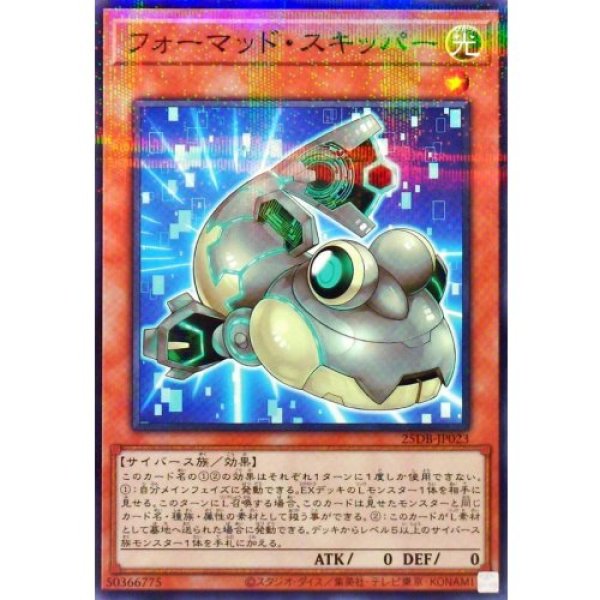 画像1: フォーマッド・スキッパー【ノーマルパラレル】 (1)