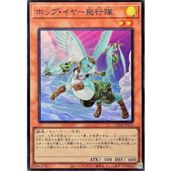 画像1: ホップ・イヤー飛行隊【スーパー】 (1)