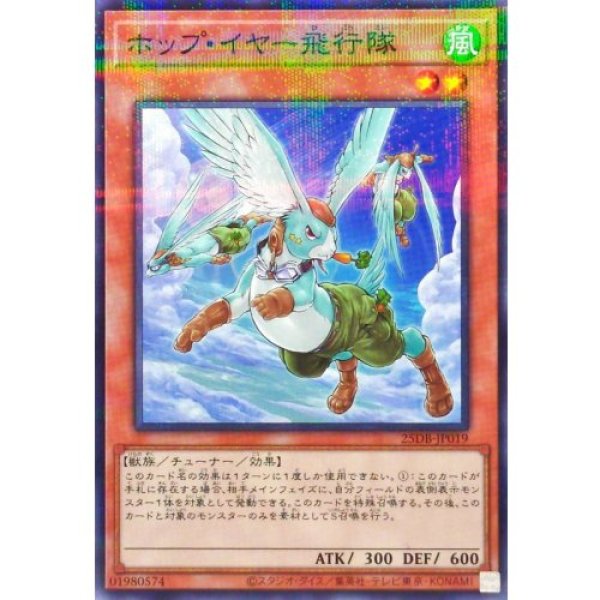 画像1: ホップ・イヤー飛行隊【ノーマルパラレル】 (1)