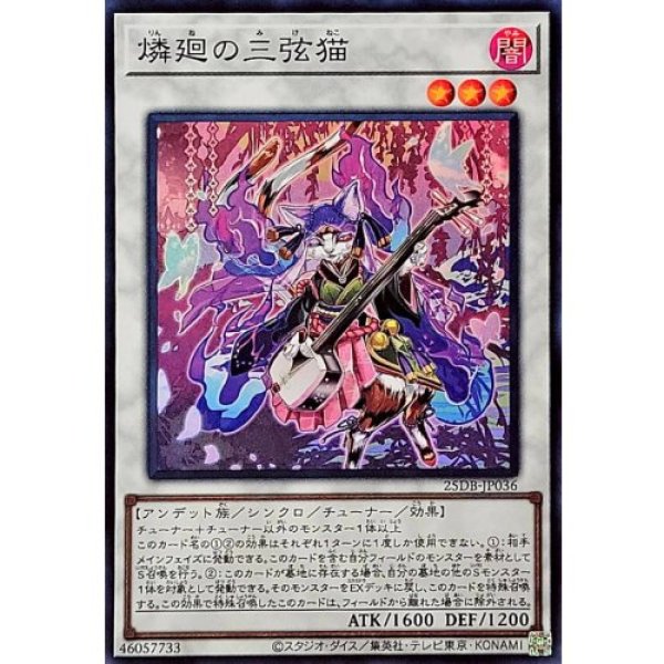 画像1: 燐廻の三弦猫【スーパー】 (1)