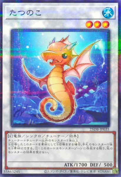 画像1: たつのこ【ノーマルパラレル】 (1)