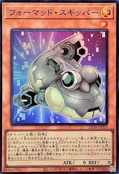 画像1: フォーマッド・スキッパー【スーパー】 (1)