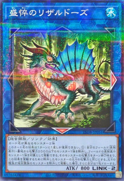 画像1: 盛悴のリザルドーズ【ノーマルパラレル】 (1)