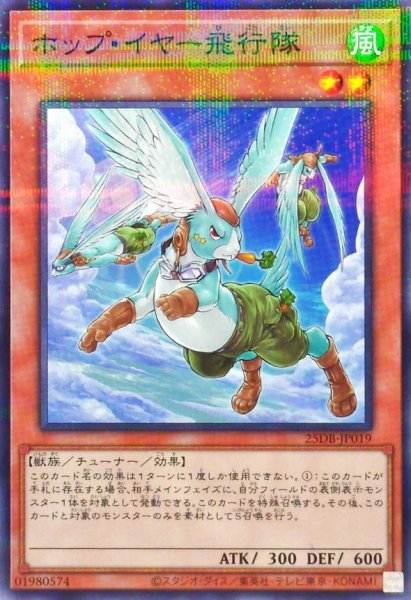 画像1: ホップ・イヤー飛行隊【ノーマルパラレル】 (1)