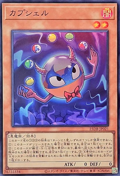 画像1: カプシェル【スーパー】 (1)