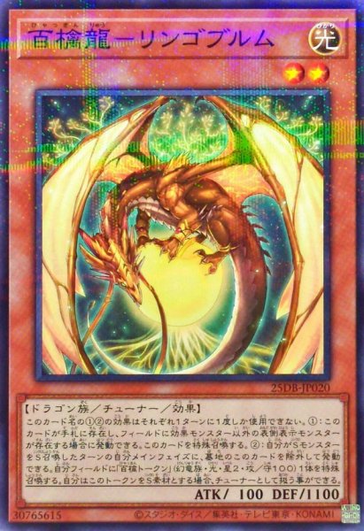 画像1: 百檎龍－リンゴブルム【ノーマルパラレル】 (1)