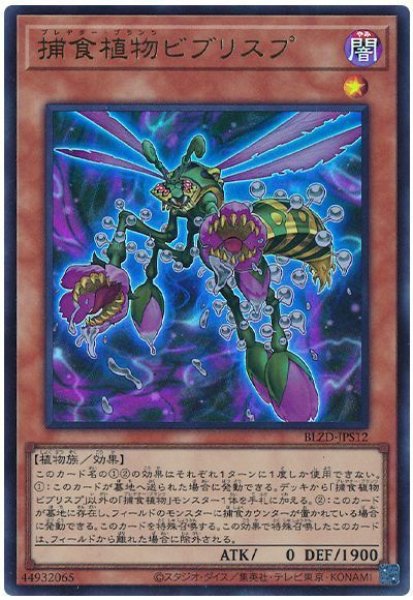 画像1: 捕食植物ビブリスプ【ウル】 (1)