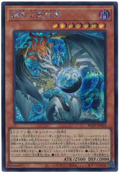 画像1: 調和ノ天救竜【シク】 (1)