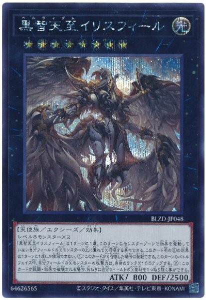 画像1: 黒智天至イリスフィール【シク】 (1)