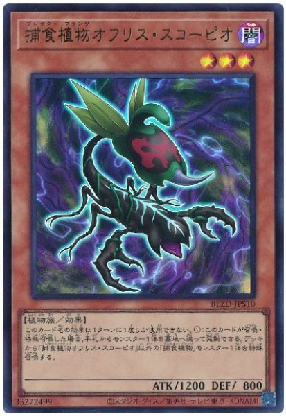 画像1: 捕食植物オフリス・スコーピオ【ウル】 (1)