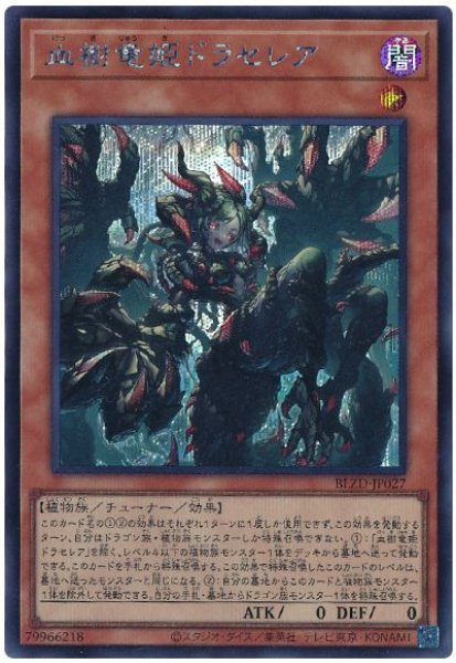 画像1: 血樹竜姫ドラセレア【シク】 (1)