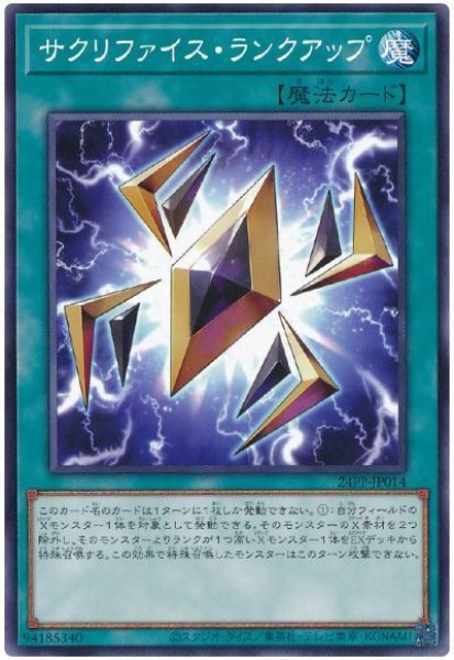 画像1: サクリファイス・ランクアップ【ノー】 (1)