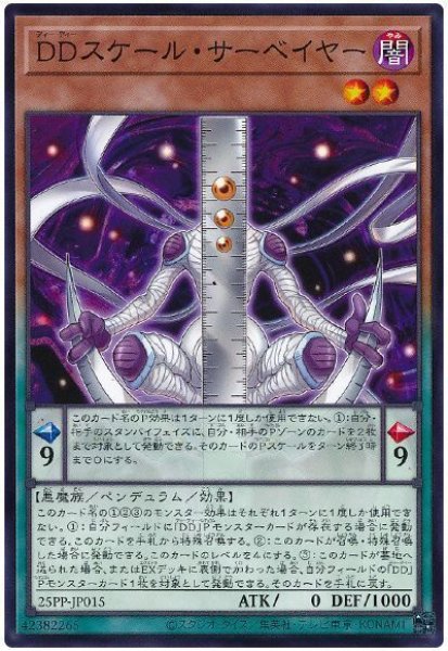 画像1: DDスケール・サーベイヤー【ノー】 (1)