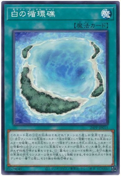 画像1: 白の循環礁【ノー】 (1)