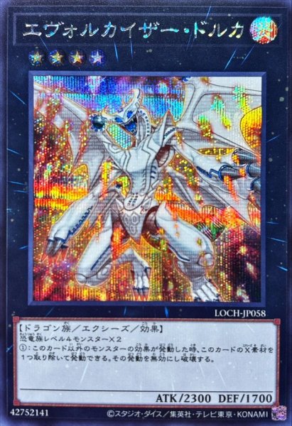 画像1: エヴォルカイザー・ドルカ【シク】 (1)