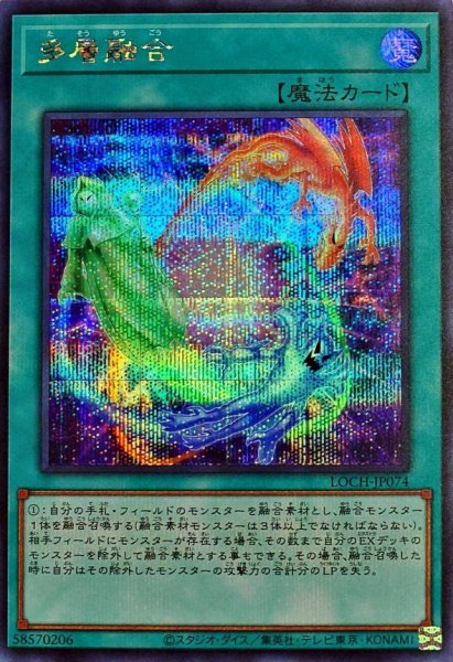 画像1: 多層融合【シク】 (1)