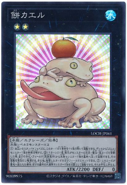 画像1: 餅カエル【スー】 (1)