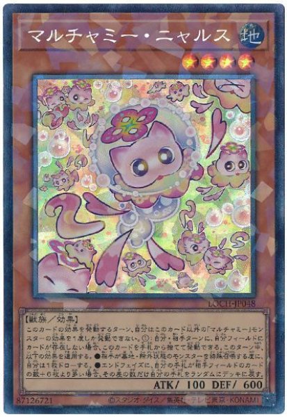 画像1: マルチャミー・ニャルス【コレレア】 (1)