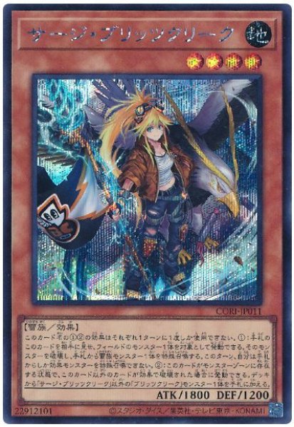 画像1: サージ・ブリッツクリーク【シク】 (1)