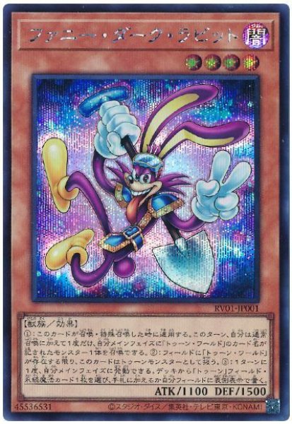 画像1: ファニー・ダーク・ラビット 　[シク] (1)