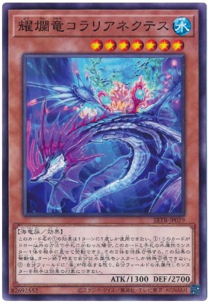 画像1: 耀爛竜コラリアネクテス【ノー】 (1)