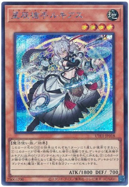 画像1: 星辰槍手ルキアス【シク】 (1)