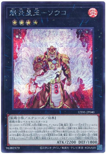 画像1: 魁炎星王−ソウコ【シク】 (1)
