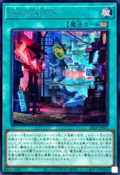 画像1: CaseofK9【シークレット】 (1)