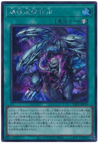 画像1: 属性反発作用【シク】 (1)