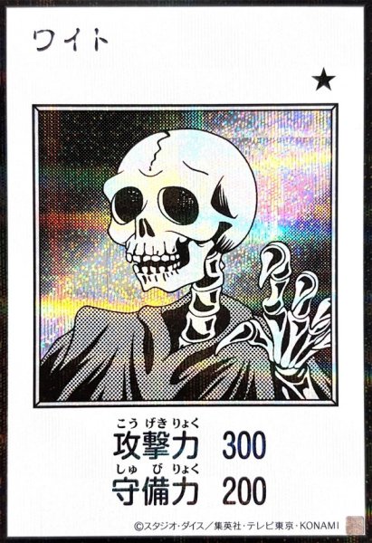 画像1: ワイト（モノクロ）【シク】 (1)