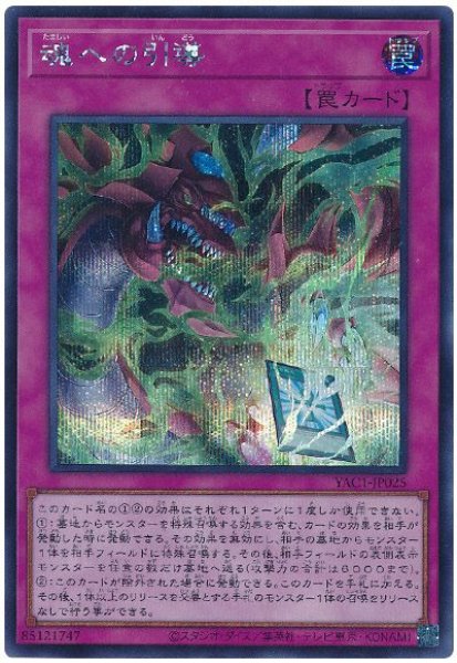 画像1: 魂への引導【シク】 (1)