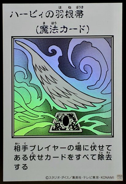 画像1: ハーピィの羽根帚（モノクロ）【ウル】 (1)