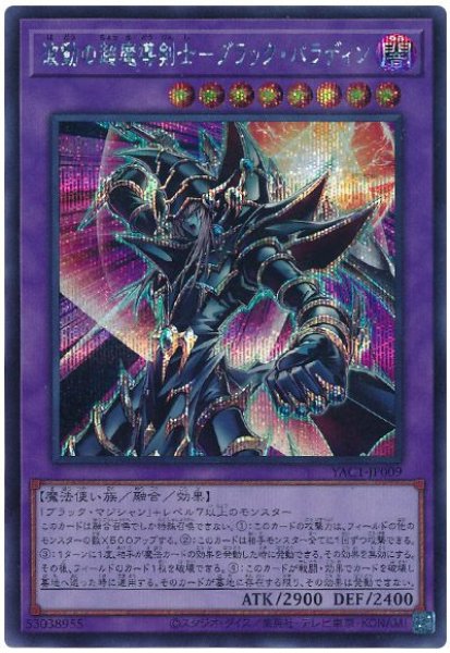 画像1: 波動の超魔導剣士－ブラック・パラディン【シク】 (1)