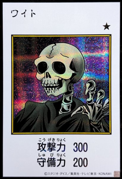 画像1: ワイト（カラー）【シク】 (1)