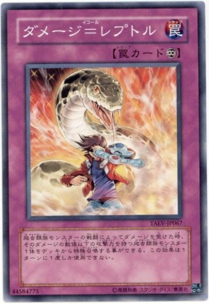 画像1: ダメージ=レプトル（Ｂランク） (1)